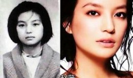 爆料明星图片大全大图最新,明星图片大全大图惊艳亮相