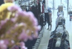 蒙面女生爆料视频大全最新,揭秘娱乐圈幕后真相