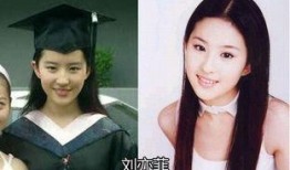 爆料明星图片大全大图最新,明星图片大全大图惊艳亮相